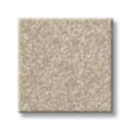 Shaw Little Neck Bay Thatch Texture Carpet with Pet Perfect-Sample